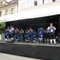 Cityfest Lauingen 2013